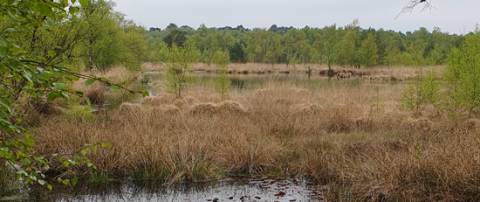 Klimaschutzkonzept Henstedt-Ulzburg