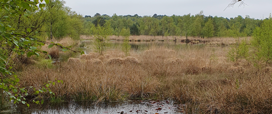 Klimaschutzkonzept Henstedt-Ulzburg