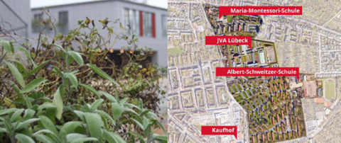 Energetische Quartiersentwicklung in Marli, Lübeck