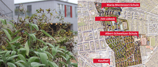 Energetische Quartiersentwicklung in Marli, Lübeck