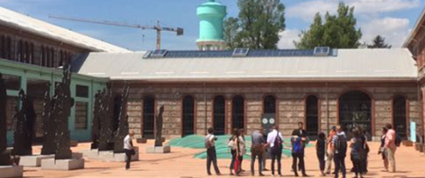 MOLOC Morphologies Low Carbon