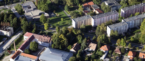 Was bietet der ZEBAU-Fachbereich integrale Quartiersentwicklung?