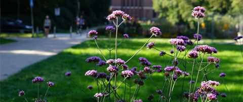 Klimaanpassungskonzept für den Bezirk Hamburg Nord