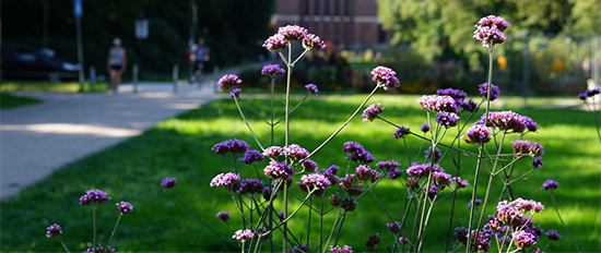 Klimaanpassungskonzept für den Bezirk Hamburg Nord